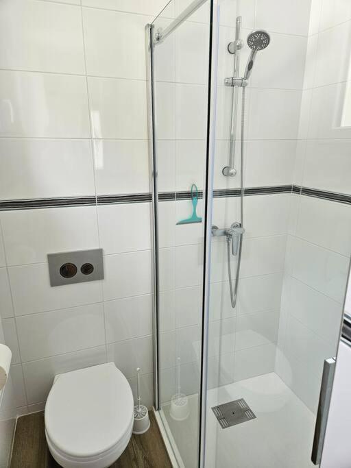 Chez Louise, Appartement T3 A Deux Pas Du Centre Bagneres-de-Luchon Екстер'єр фото